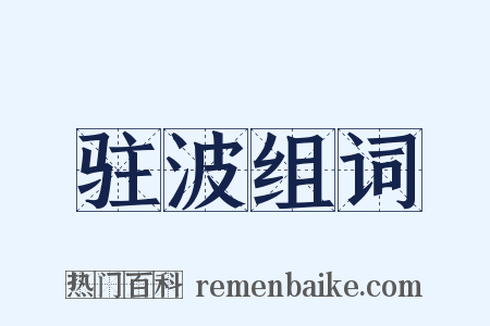 驻波组词是什么意思的图片